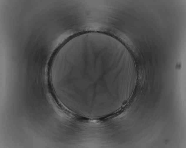 X0000092290678200710121434