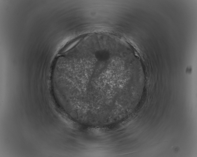 X0000092290679200710121434