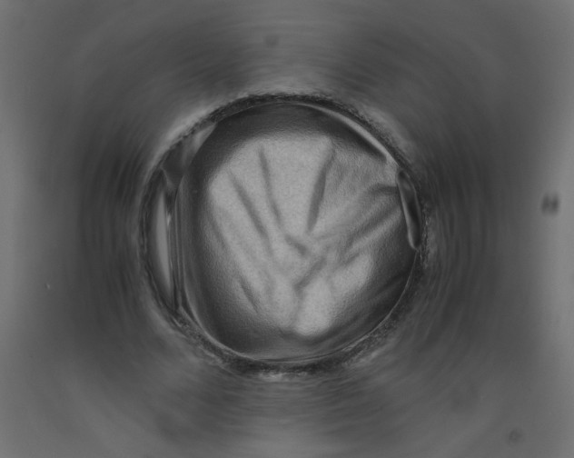 X0000092290680200710121434