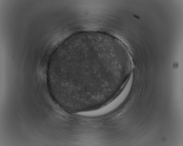 X0000092290681200710121434