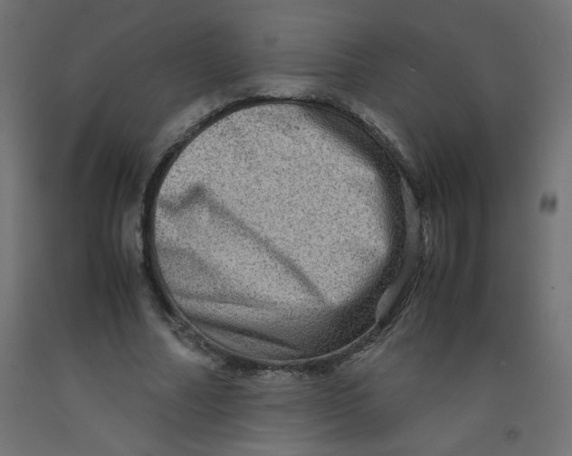 X0000092290682200710121434