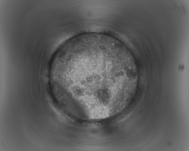 X0000092290683200710121434