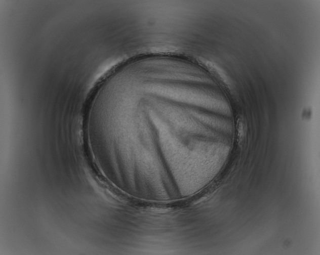 X0000092290684200710121434