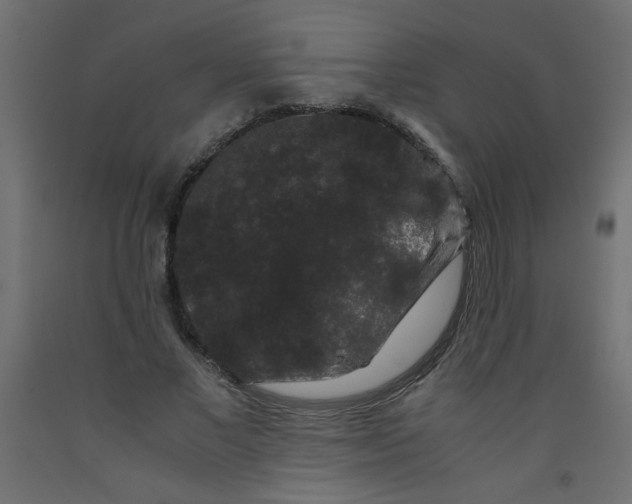 X0000092290685200710121434