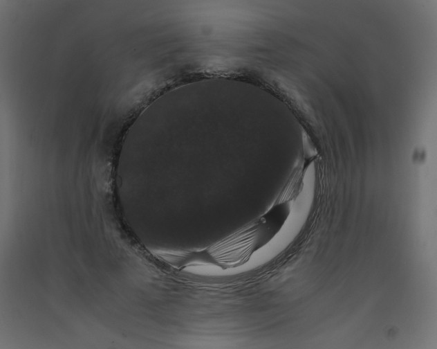 X0000092290689200710121434