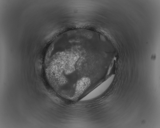 X0000092290691200710121434