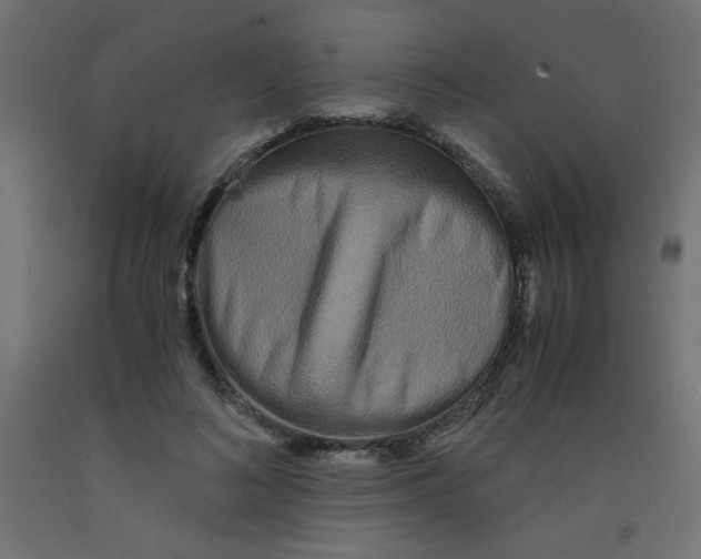 X0000092290692200710121434