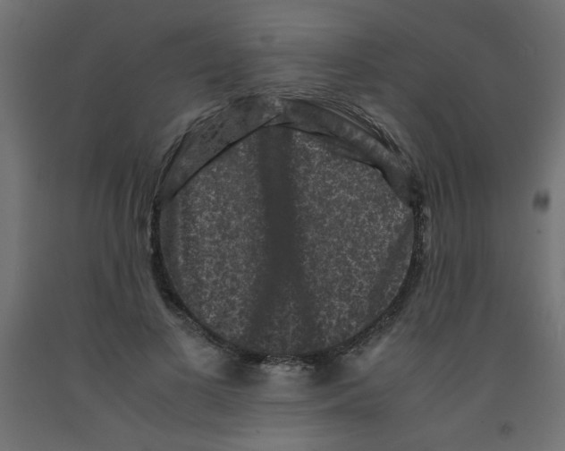 X0000092290693200710121434