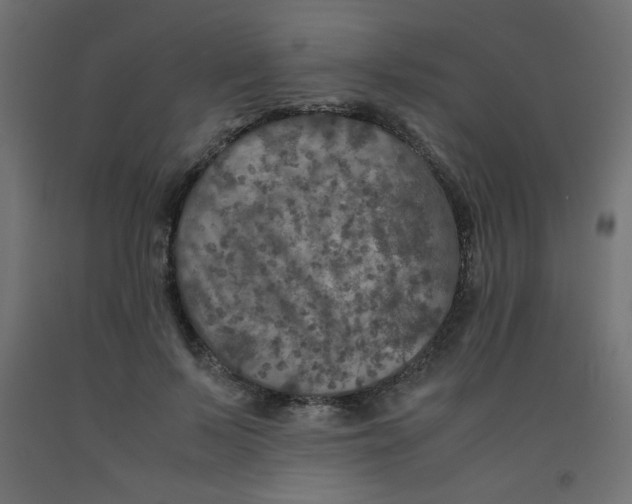 X0000092290695200710121434