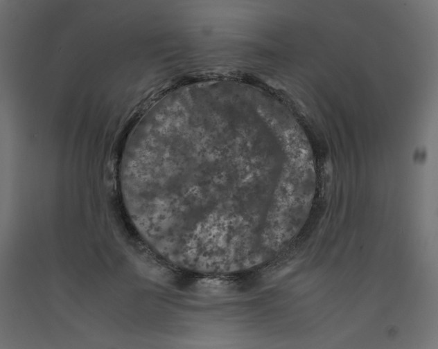 X0000092290699200710121434