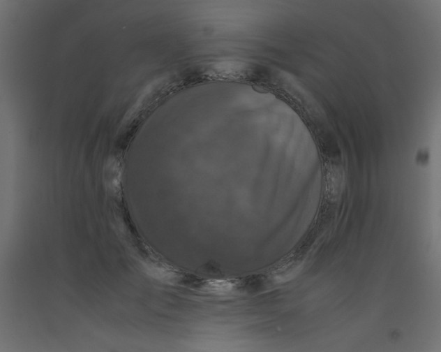 X0000092290701200710121434