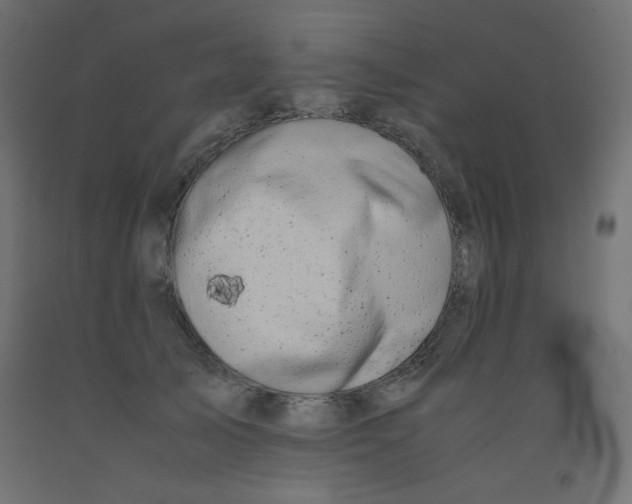 X0000092290705200710121434