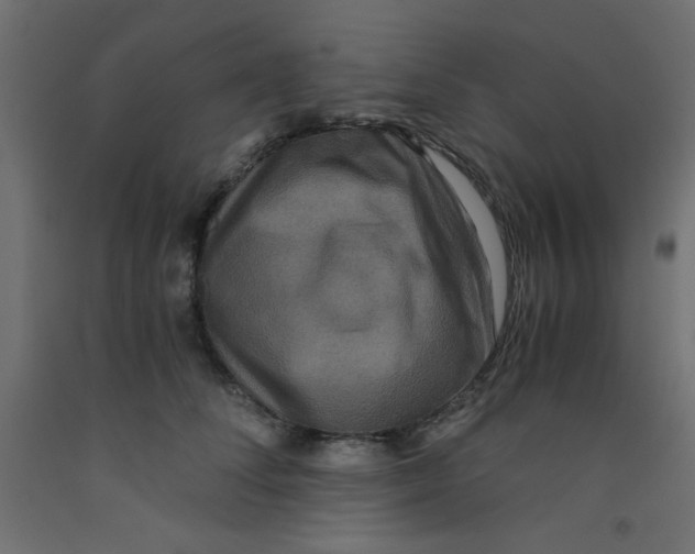 X0000092290708200710121434