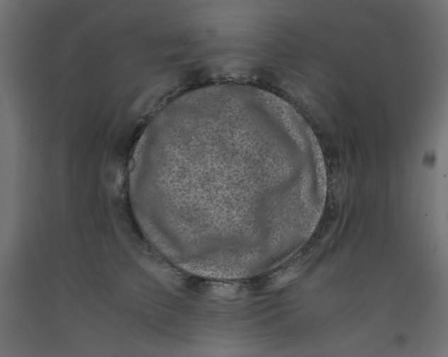 X0000092290709200710121434