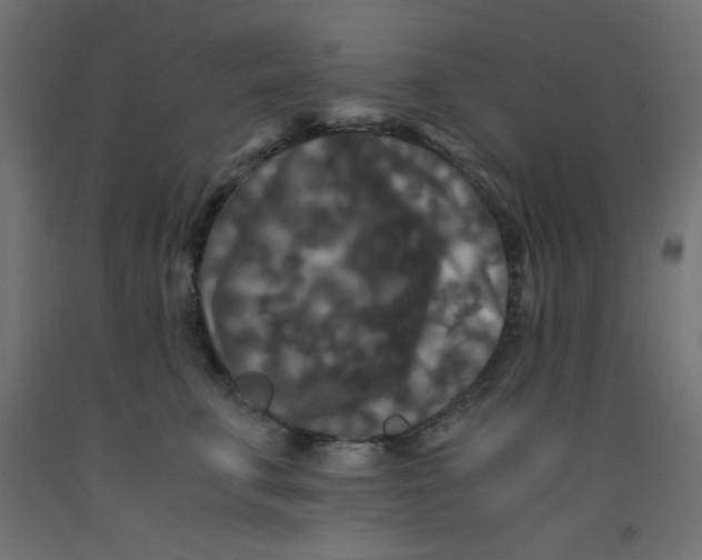 X0000092290711200710121434