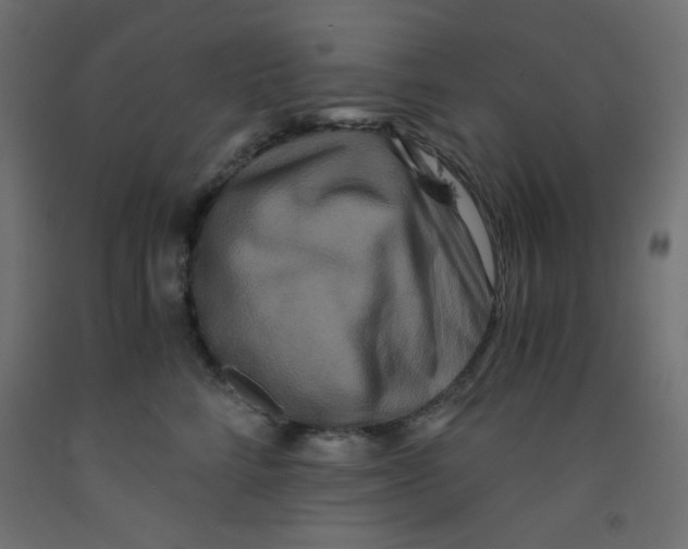 X0000092290712200710121434