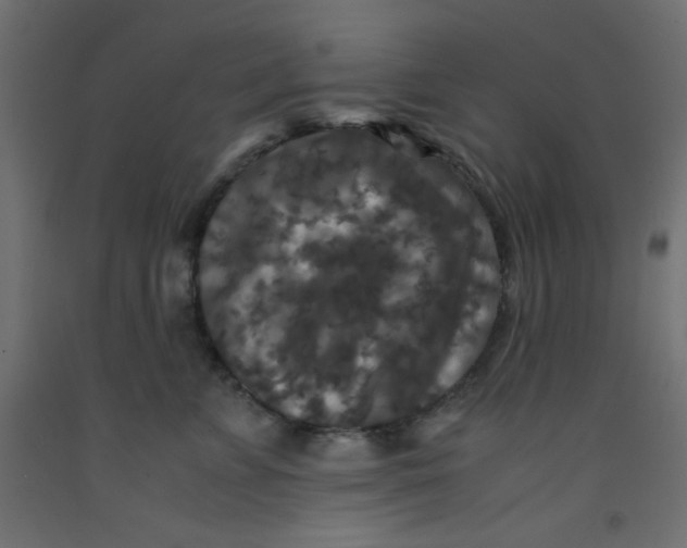 X0000092290715200710121434