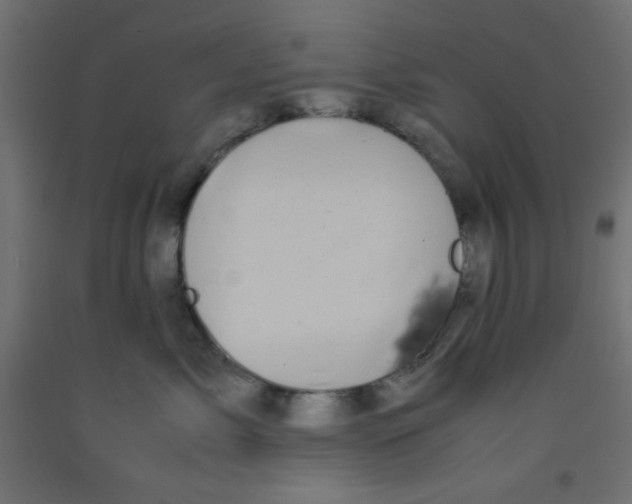 X0000092290717200710121434