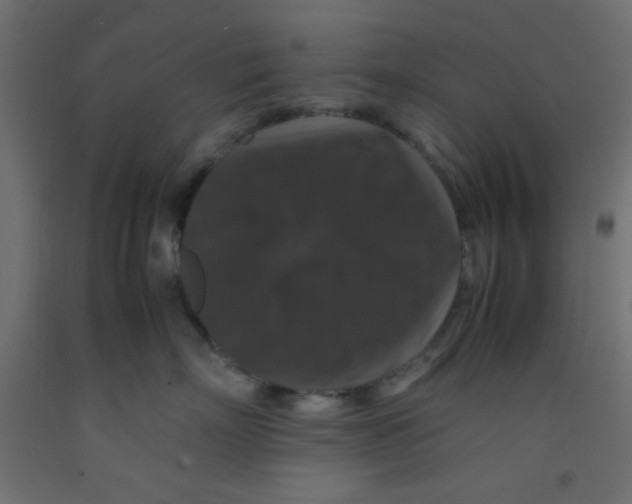 X0000092290718200710121434