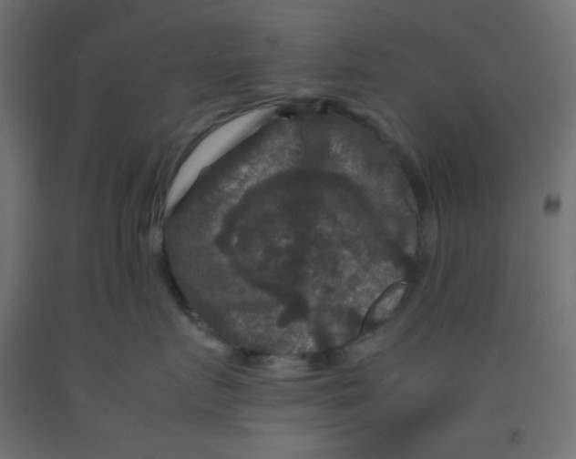 X0000092290719200710121434