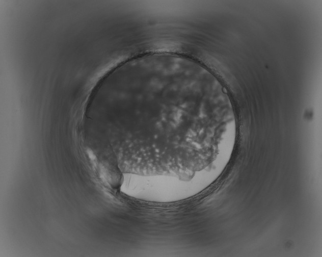 X0000092290721200710121433