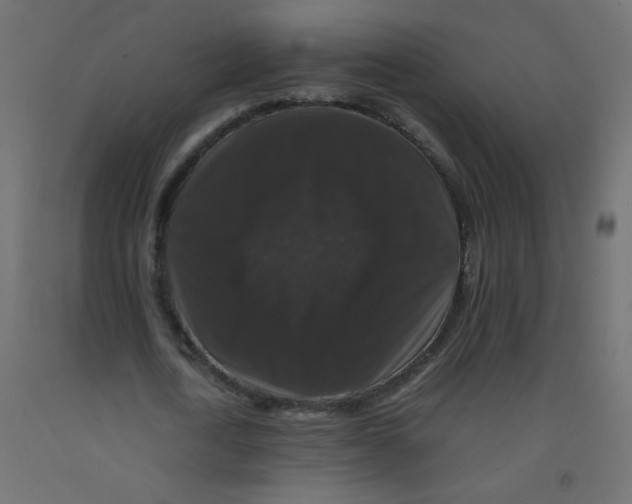 X0000092290722200710121433