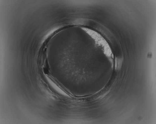 X0000092290723200710121433