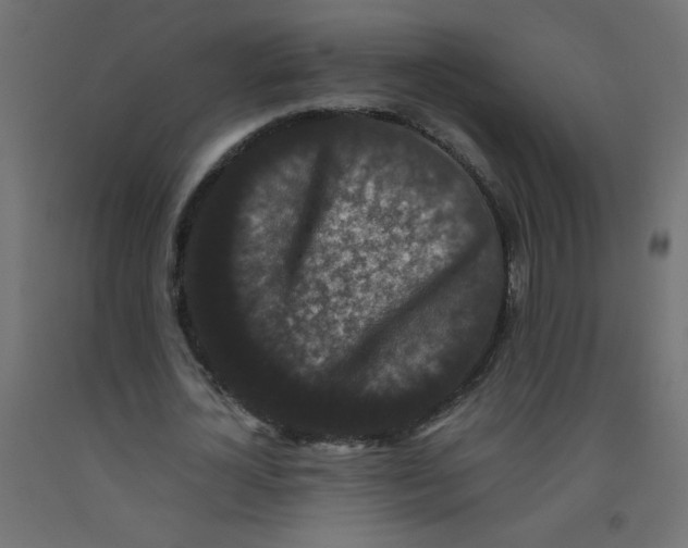 X0000092290724200710121433