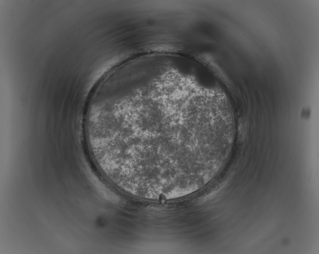 X0000092290725200710121433