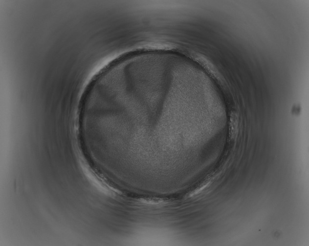 X0000092290726200710121433