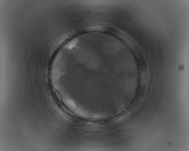 X0000092290729200710121433