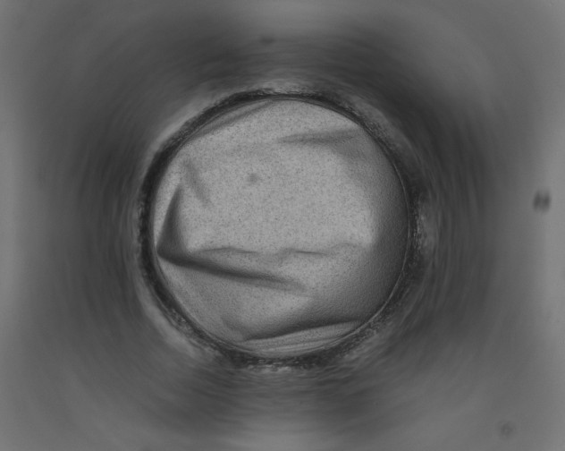 X0000092290730200710121433