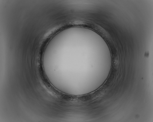 X0000092290732200710121433