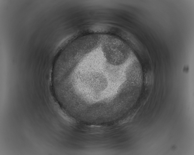 X0000092290733200710121433