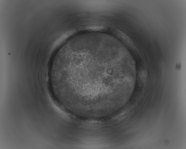 X0000092290734200710121433