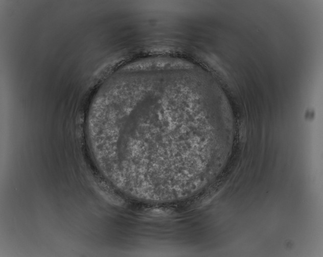 X0000092290737200710121433