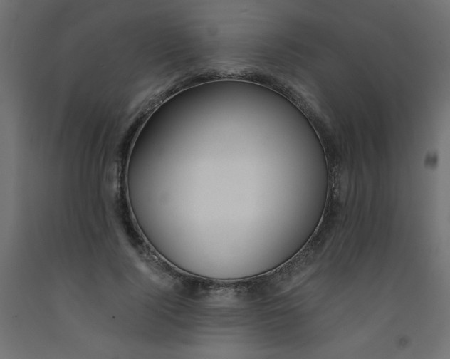 X0000092290740200710121433