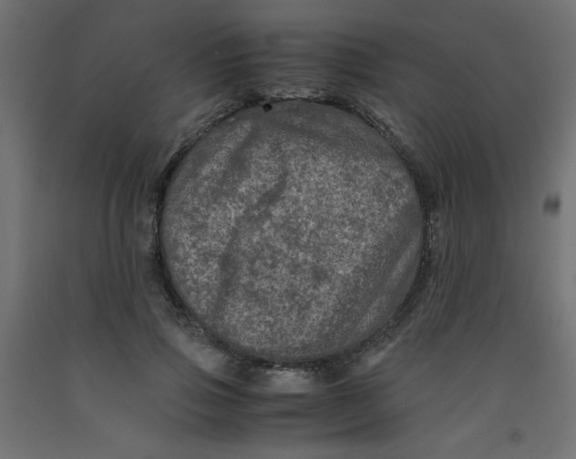 X0000092290741200710121433