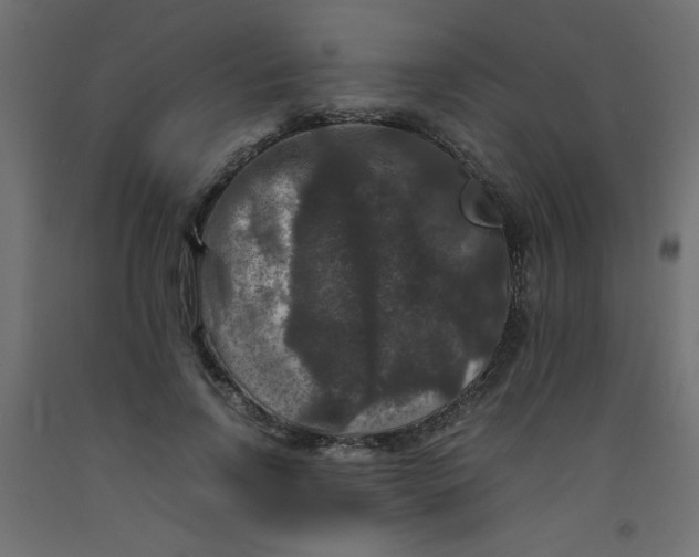 X0000092290742200710121433