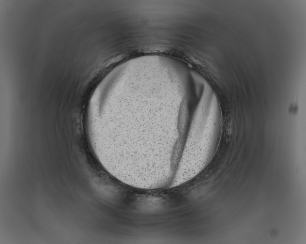 X0000092290743200710121433