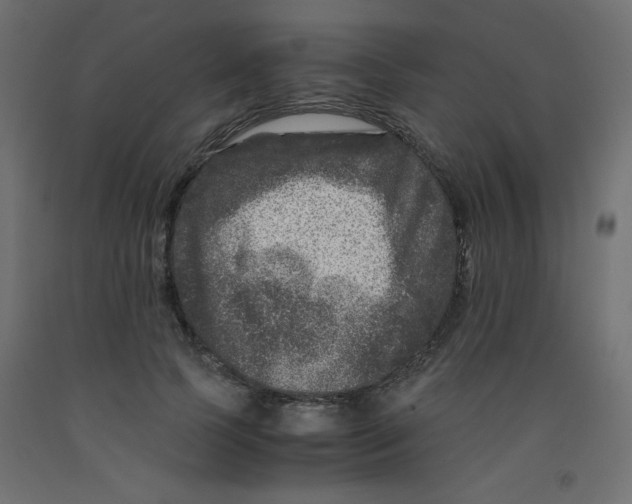 X0000092290745200710121433