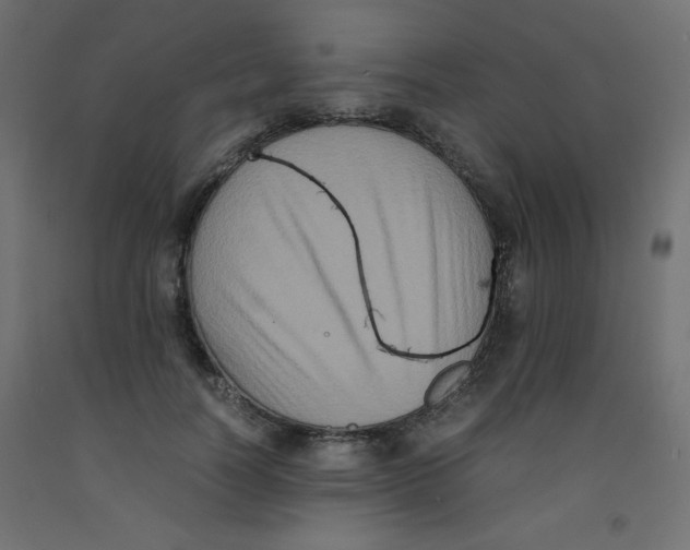 X0000092290746200710121433