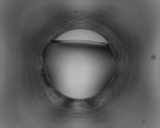 X0000092290752200710121433