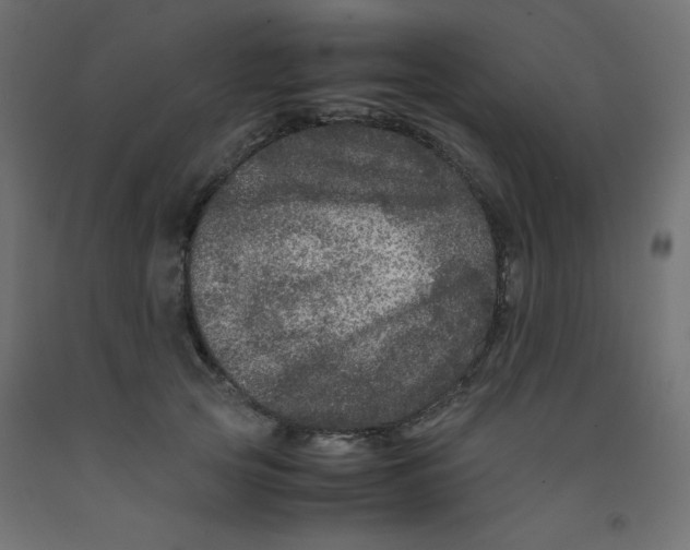 X0000092290753200710121433