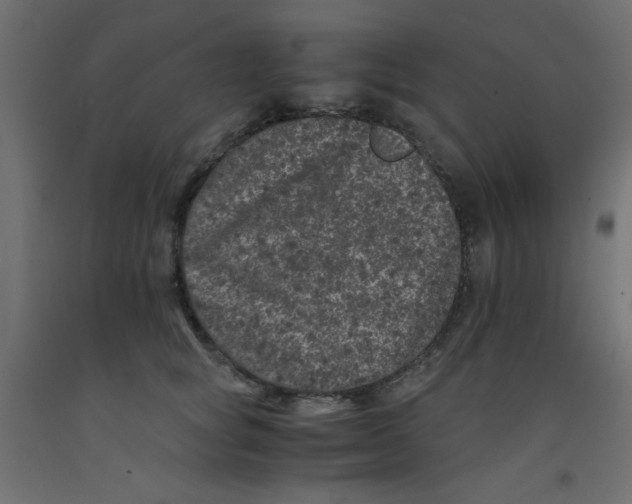 X0000092290757200710121433