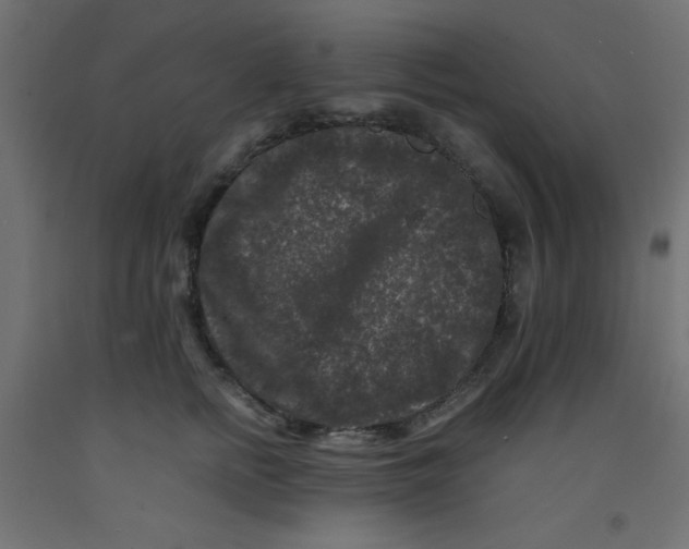 X0000092290758200710121433