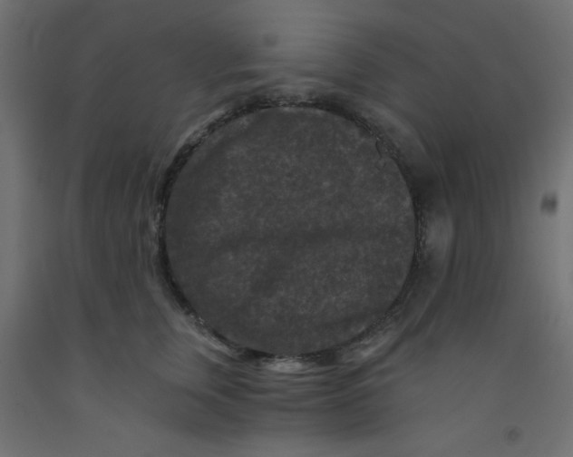 X0000092290759200710121433