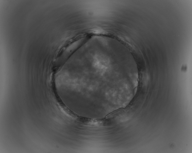 X0000092290760200710121433