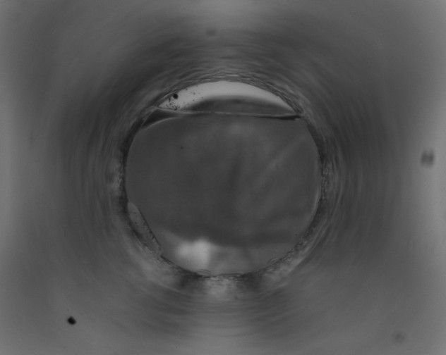 X0000092290762200710121434