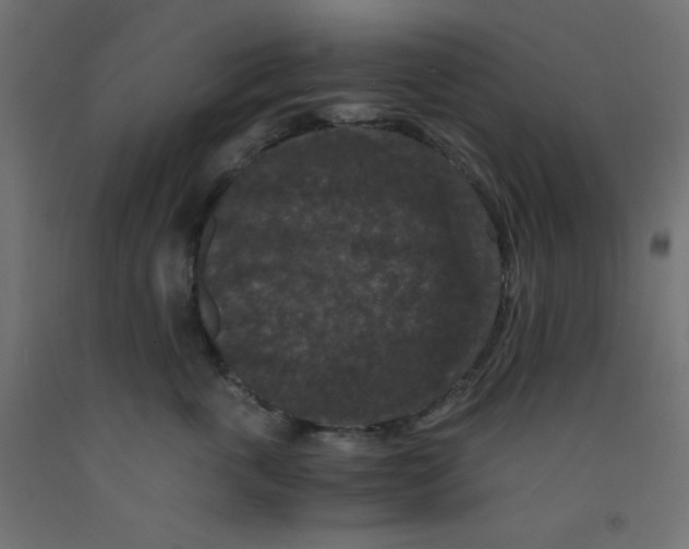 X0000092290763200710121434